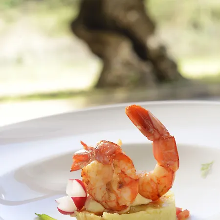 Four Points By Sheraton 호텔 4*